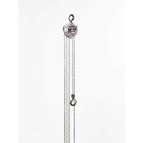 チェーンブロック 1.0tonx8.0m EA987AB-8A 4518340343801【別送品】