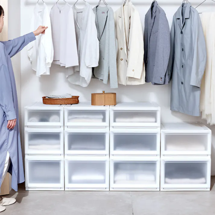 引出し式収納ケース(2個) 450×550×200mm EA506MA-7A【別送品】