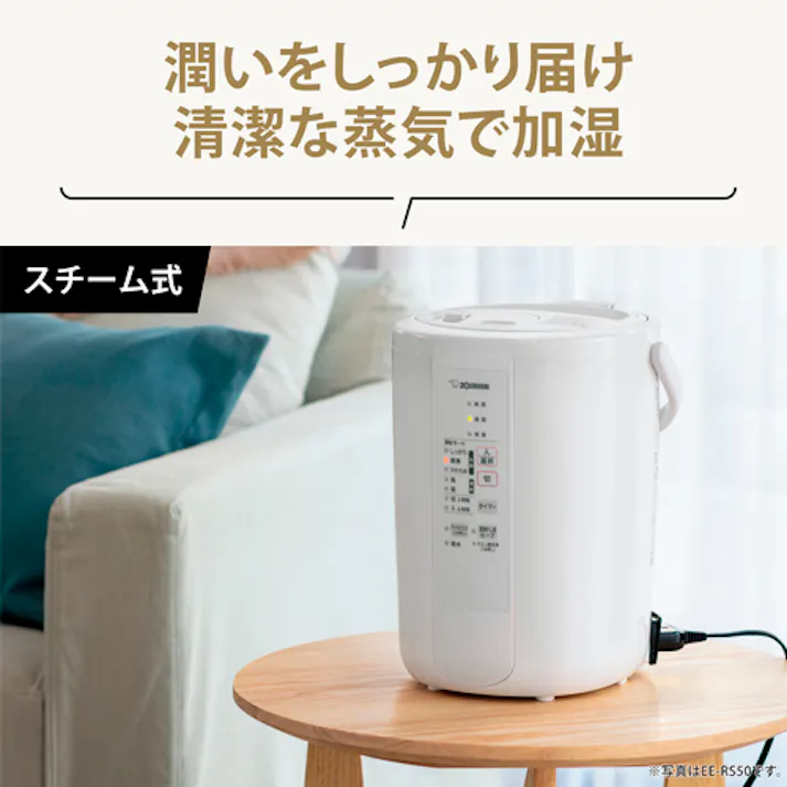 スチーム式加湿器 AC100V/985W/10畳 EA763AY-7H【別送品】