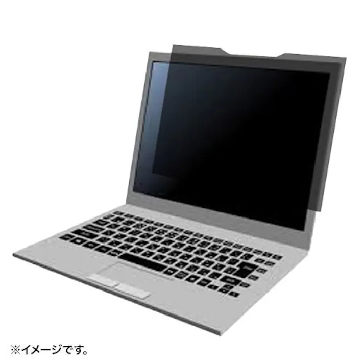 のぞき見防止フィルタ(マグネット式) 294×177mm EA764-358【別送品】