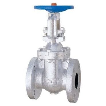 キッツ 10FCL 125A 10FCL FC要部CACゲート弁 125A 配管部材 FC(一般品) 00000002433(CDC) 鋼管・支持金具 キッツ 10FCL 125A 10FCL FC要部CACゲート弁 125A 配管部材 FC(一般品) 00000002433(CDC) 鋼管・支持金具