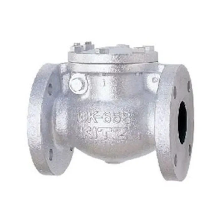 キッツ 10FCO 80A 10FCO FC要部CACスイングチャッキ弁【JIS】 80A 配管部材 FC(一般品) 00000002515(CDC)【別送品】