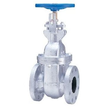 キッツ 10FCWI 65A 10FCWI FC要部CACゲート弁 65A 配管部材 FC(一般品) 00000002674(CDC) 鋼管・支持金具 キッツ 10FCWI 65A 10FCWI FC要部CACゲート弁 65A 配管部材 FC(一般品) 00000002674(CDC) 鋼管・支持金具