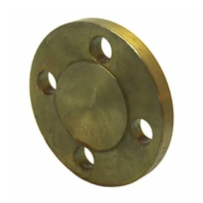 黒 鋼製 10K BL-RF 鉄閉止フランジ 40A 配管部材 鋼製 白・黒10K 20K溶接・閉止フランジ類 00000003761【別送品】