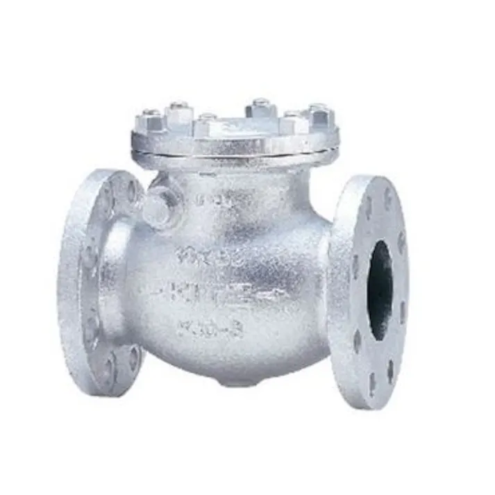 キッツ 10SRBF 65A 10SRBF FCDスイングチャッキ弁【フランジ】 65A 配管部材 FCD(一般品) 00000005255(CDC)【別送品】