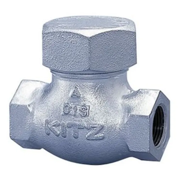 キッツ 20SN 20A 20SN FCDリフトチャッキ弁 20A 配管部材 FCD(一般品) 00000012105(CDC)【ネット注文限定・別送品】