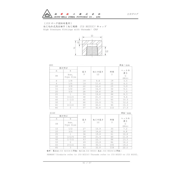 シロPT370PT-CA 白PT370 ネジ込 高圧キャップ 25A 配管部材 高圧鍛造継手(PT370 白) 00000069202【別送品】