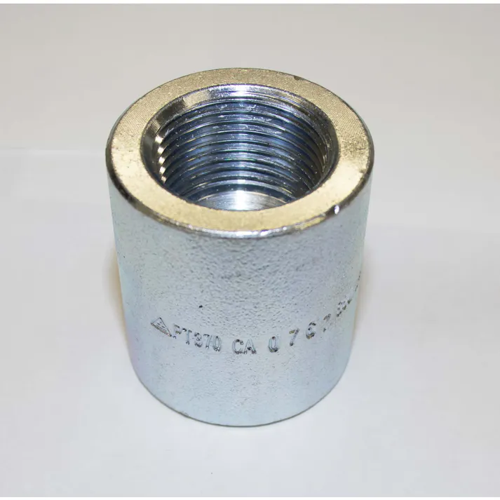 Both-Well(ボスウェル) シロPT370PT-RS 白 PT370 ネジ込 高圧 異径ソケット 50AX40A 配管部材 高圧鍛造継手(PT370 白) 00000069268(CDC)【ネット注文限定・別送品】