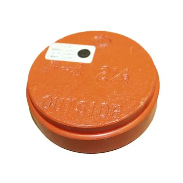 リケン Ca(F-4) トップフィッティング キャップ 一次防錆塗装品 125A 配管部材 トップフィツティング【一次防錆塗装品】 00000072432【別送品】