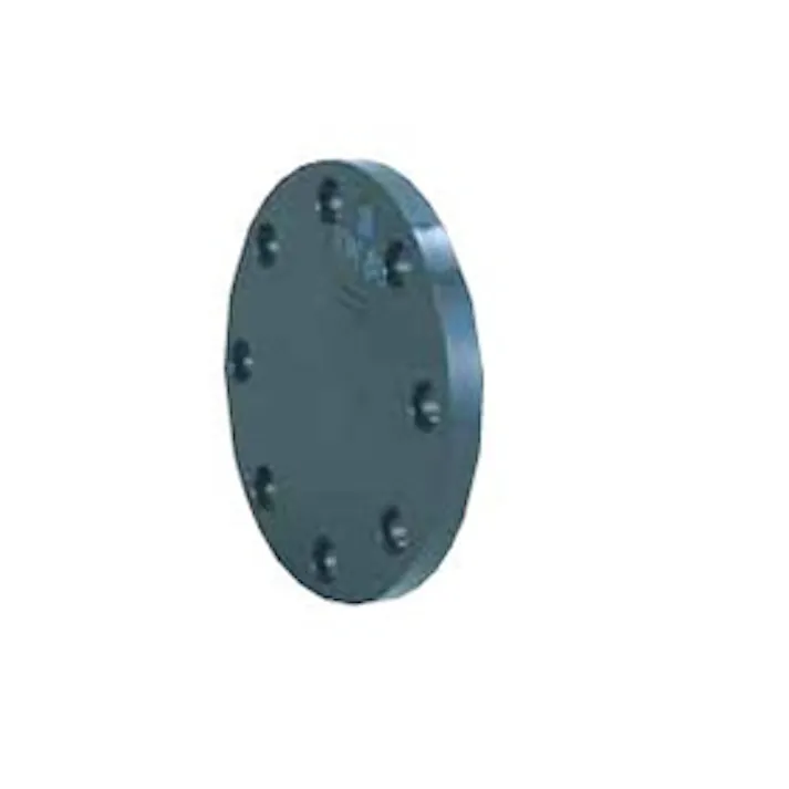 積水化学工業 セキスイ HI-PVC 10K SB ボルト穴付閉止フランジ 50A 配管部材 フランジ HI 00000130777【別送品】