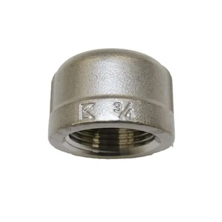 キッツ PCM 20A PCM SCS14A キャップ 20A 配管部材 SUS316ねじ込み継手<RoHS適合> 00000238262(CDC)【ネット注文限定・別送品】