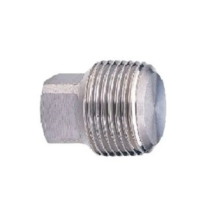 キッツ PP 40A PP SCS13A プラグ【6A-20A:SUS304】 40A 配管部材 SUS304ねじ込み継手<RoHS適合> 00000241278【別送品】