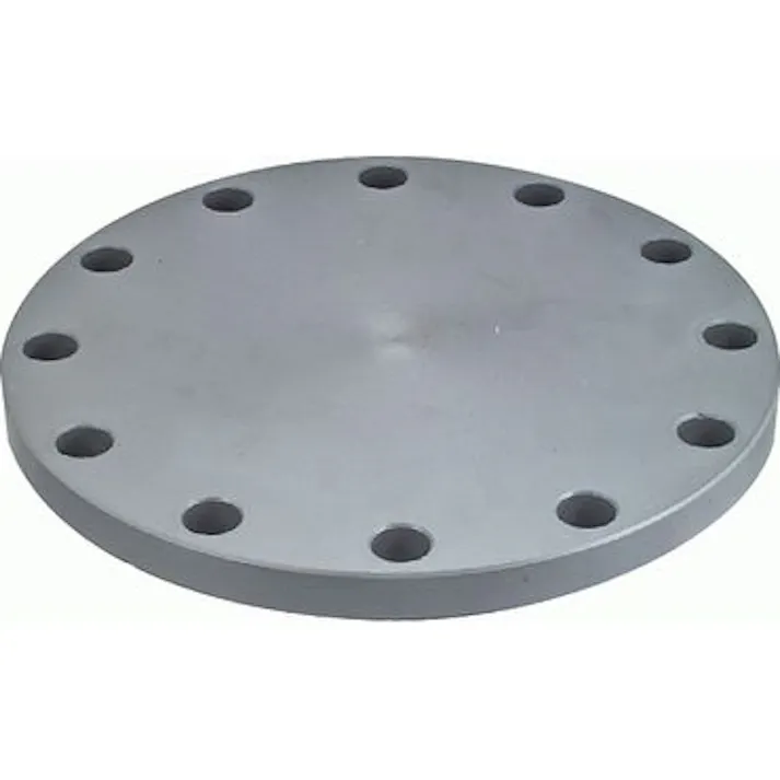 積水化学工業 セキスイ PVC 5K SB ボルト穴付閉止フランジ 125A 配管部材 フランジ PVC(溶接) 00000244325【別送品】