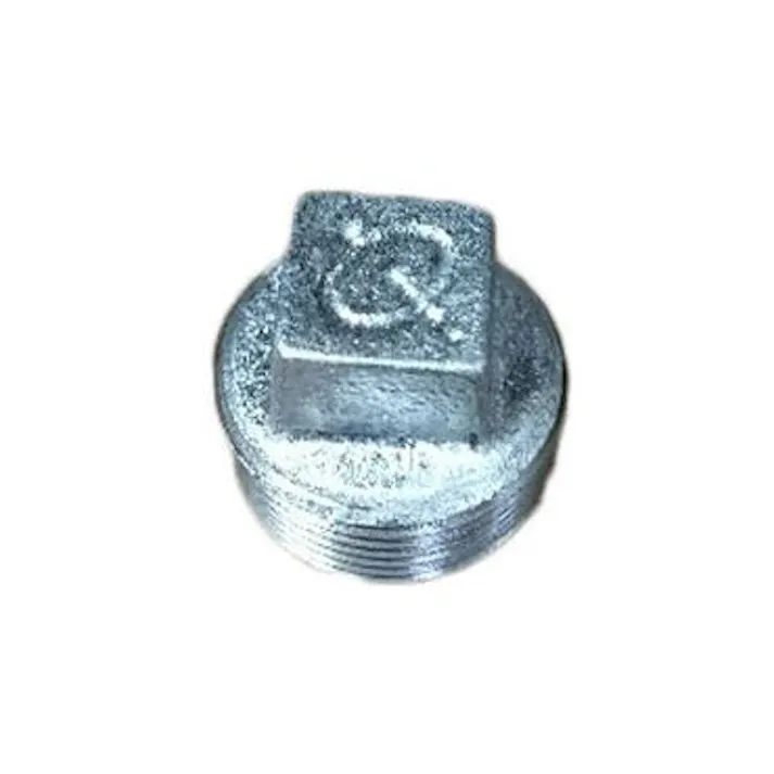リケン 白 プラグ 100A 配管部材 白 ねじ込み継手 00000248341(CDC)【ネット注文限定・別送品】