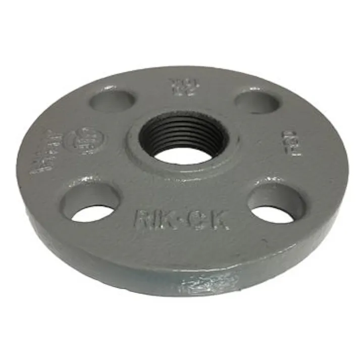 リケン 鋳鉄製 合フランジ 10K コート品 25A 配管部材 コマコート継手 00000874032(CDC)【ネット注文限定・別送品】