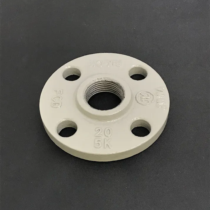 リケン 鋳鉄製 合フランジ 5K コート品 50A 配管部材 コマコート継手 00000874046(CDC)【ネット注文限定・別送品】