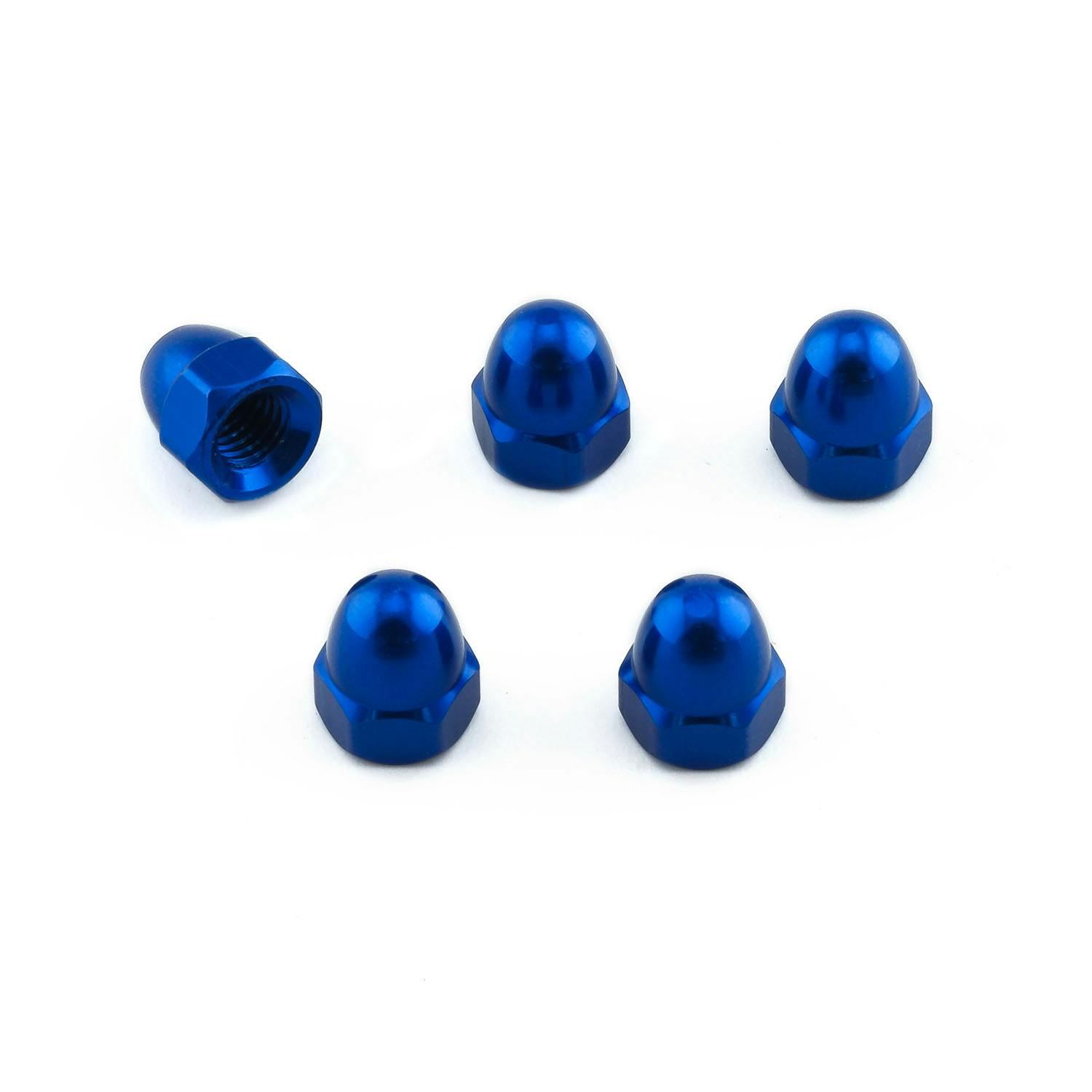 Pro-Bolt v{g A~ h[ibg M5x(0.80mm) (DIN 1587) 5pbN (DOMENUT5-5) DOMENUT5-5 ̑i{gj