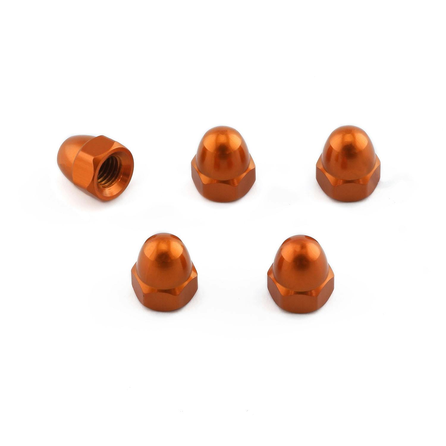 Pro-Bolt v{g A~ h[ibg M5x(0.80mm) (DIN 1587) 5pbN (DOMENUT5-5) DOMENUT5-5 ̑i{gj