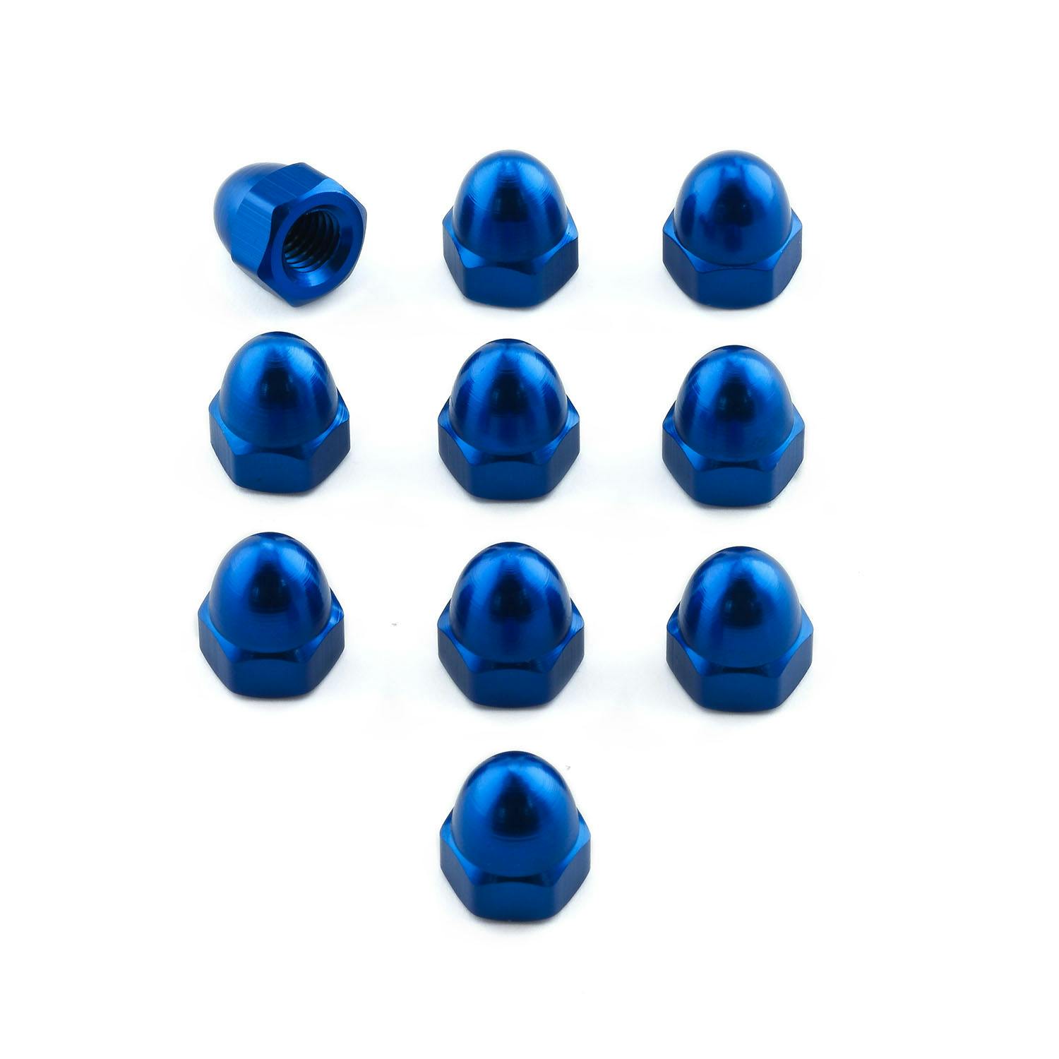 Pro-Bolt v{g A~ h[ibg M6x(1.00mm) (DIN 1587) 10pbN (DOMENUT6-10) DOMENUT6 ̑i{gj