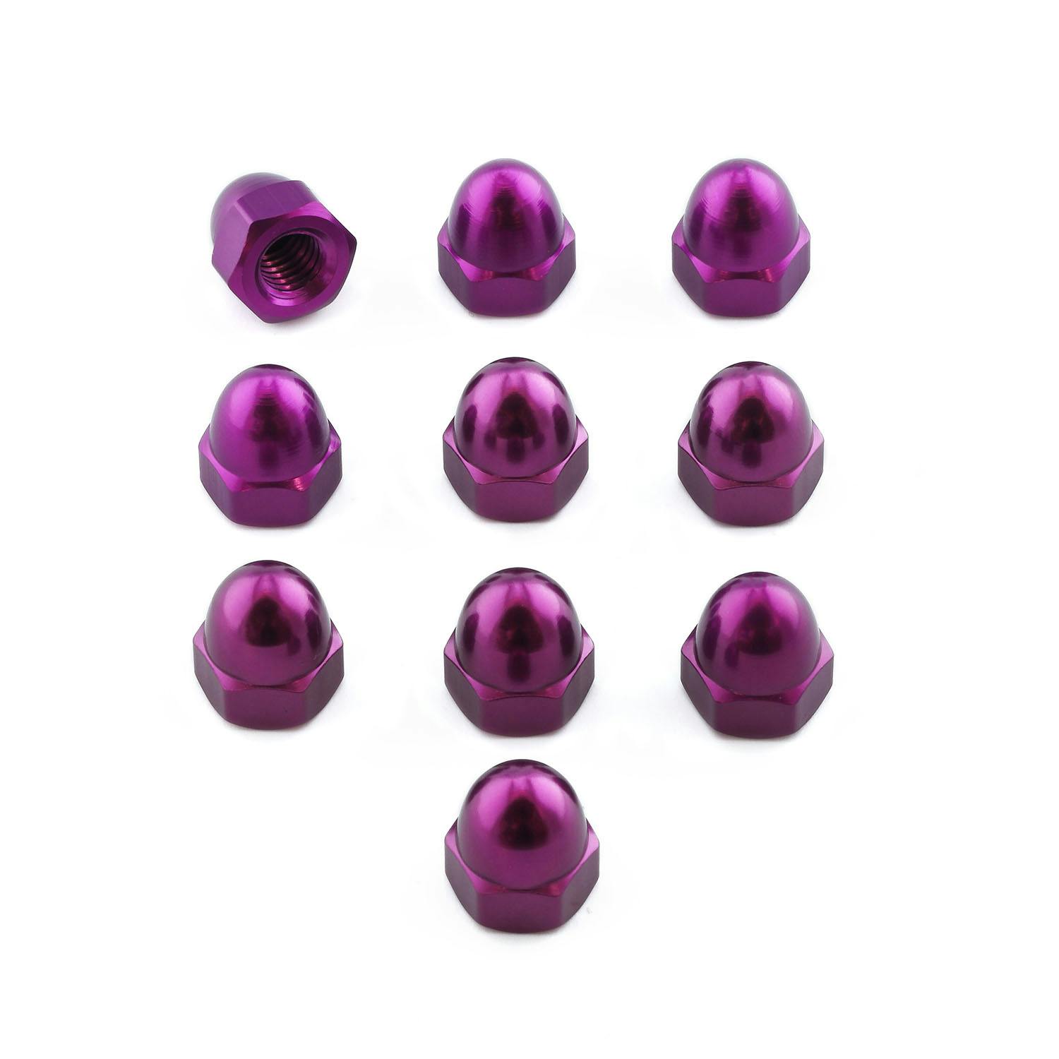 Pro-Bolt v{g A~ h[ibg M6x(1.00mm) (DIN 1587) 10pbN (DOMENUT6-10) DOMENUT6 ̑i{gj