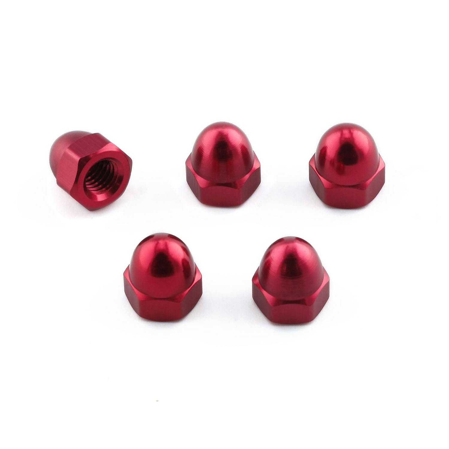 Pro-Bolt v{g A~ h[ibg M6x(1.00mm) (DIN 1587) 5pbN (DOMENUT6-5) DOMENUT6-5 ̑i{gj