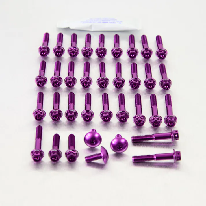 Pro-Bolt プロボルト Aluminium Engine Kit Honda CB900 Hornet Race Spec Etched EHO202HXRPE (CDC)【別送品】