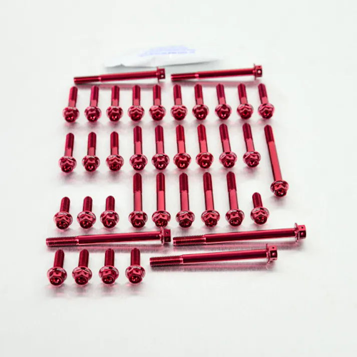 Pro-Bolt プロボルト Aluminium Engine Kit Honda VTR1000 SP2-RC51 Race Spec Etched EHO218HXRRE (CDC)【別送品】