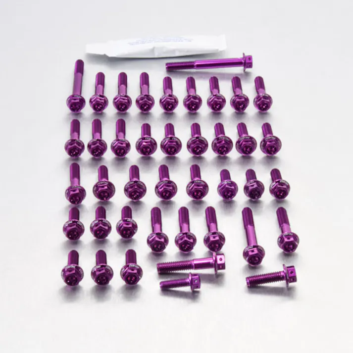 Pro-Bolt プロボルト Aluminium Engine Kit Kawasaki ZX6R P7F-P8F Race Spec Etched EKA190HXRPE (CDC)【別送品】