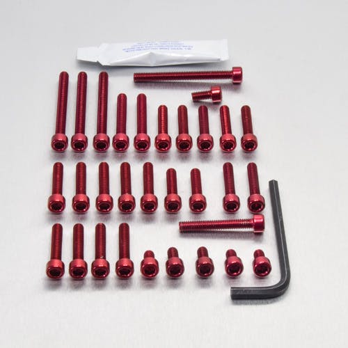 Pro-Bolt プロボルト アルミニウム エンジンボルトキット Kawasaki ZX-9R E1-E2 Ninja (EKA245) EKA245R (CD その他(ボルト) Pro-Bolt プロボルト アルミニウム エンジンボルトキット Kawasaki ZX-9R E1-E2 Ninja (EKA245) EKA245R (CD その他(ボルト)