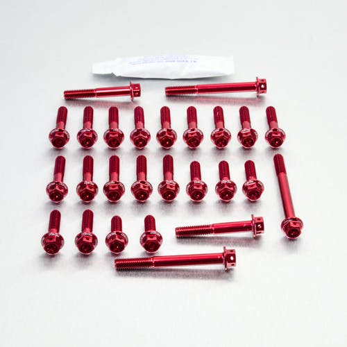 Pro-Bolt v{g Aluminium Engine Kit Kawasaki ZRX1100 Race Spec Etched EKA315HXRR ̑i{gj