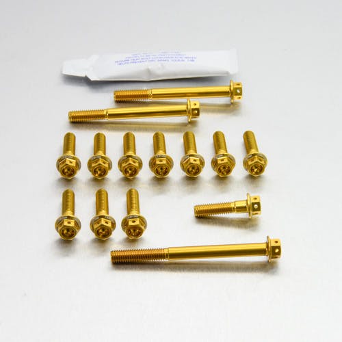 Pro-Bolt プロボルト Aluminium Engine Kit Kawasaki ZZR1400 Race