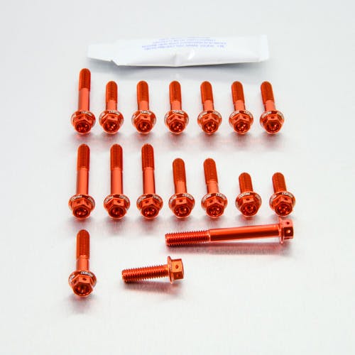 Pro-Bolt プロボルト Aluminium Engine Kit Aprilia RS250 Race