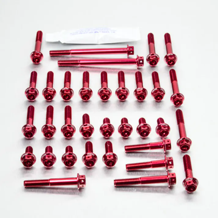 Pro-Bolt プロボルト Aluminium Engine Kit Kawasaki KLX250 ’09+ Race Spec Etched EOKA45HXRRE (CDC)【別送品】