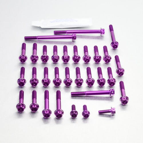 Pro-Bolt プロボルト Aluminium Engine Kit Suzuki GS500E Race Spec Etched ESU041HXRPE ( その他(ボルト) Pro-Bolt プロボルト Aluminium Engine Kit Suzuki GS500E Race Spec Etched ESU041HXRPE ( その他(ボルト)