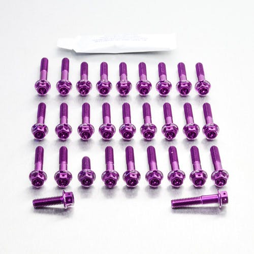Pro-Bolt プロボルト Aluminium Engine Kit Suzuki GSX650F Race Spec Etched ESU085HXRPE その他(ボルト) Pro-Bolt プロボルト Aluminium Engine Kit Suzuki GSX650F Race Spec Etched ESU085HXRPE その他(ボルト)