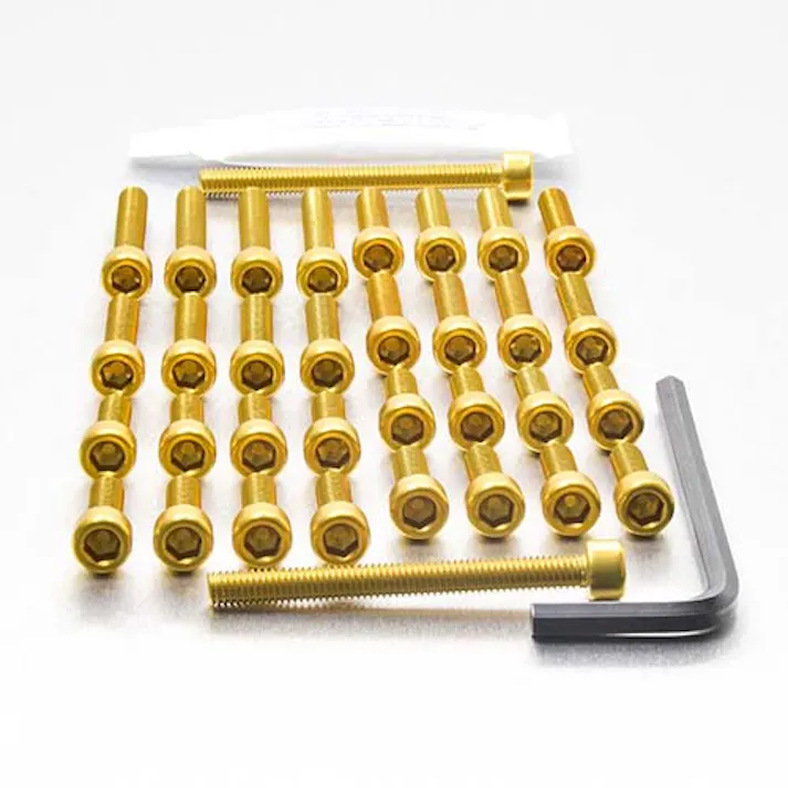 Pro-Bolt プロボルト Aluminium Engine Kit Triumph Daytona 900-1200 ETR080G (CDC)【ネット注文限定・別送品】