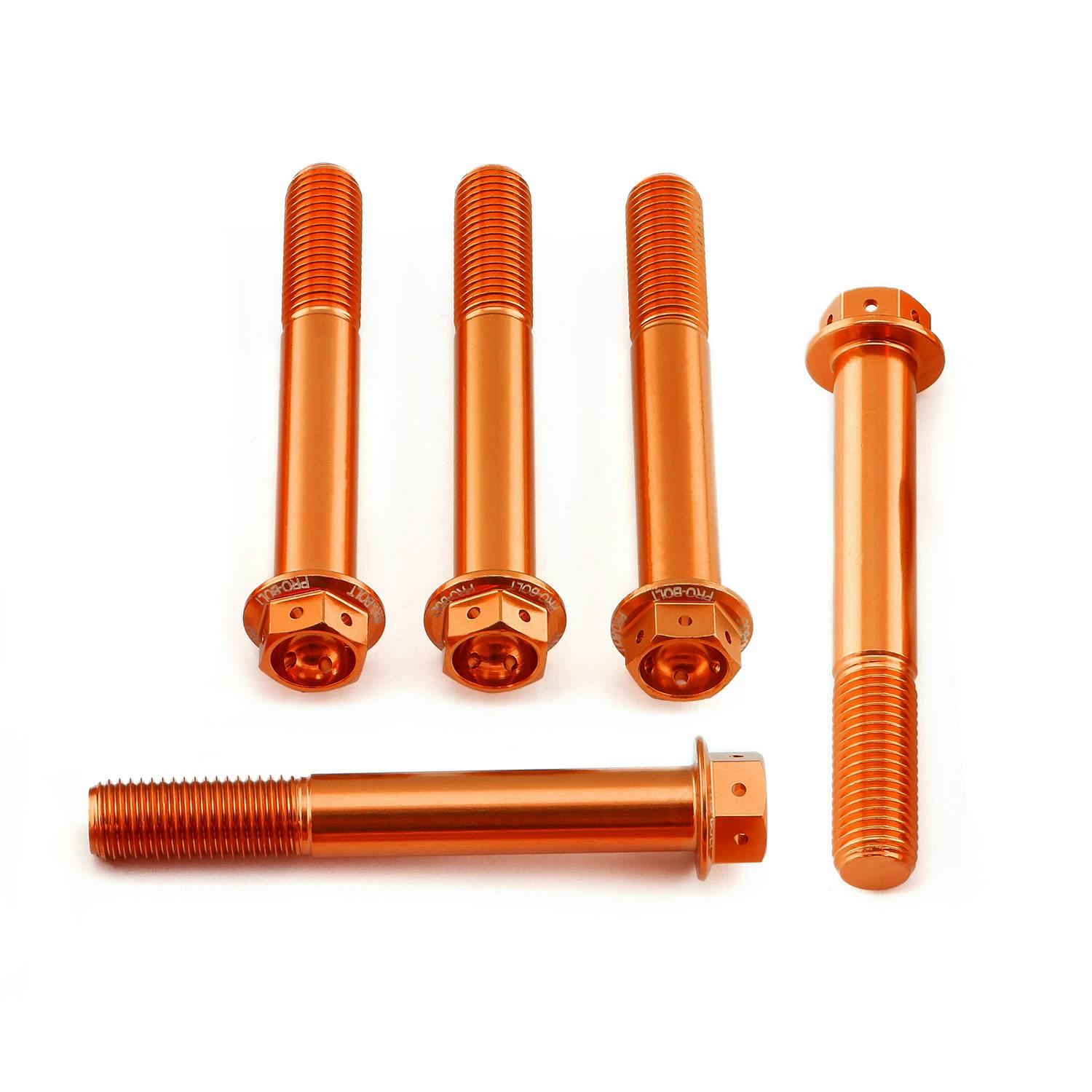 Pro-Bolt �v���{���g �A���~�j�E�� �t�����W�w�b�N�X�w�b�h�{���g M10x(1.25mm)x70mm ���[�X�X�y�b�N �G�b�`���O 5����p�b�N (HX ���̑��i�{���g�j