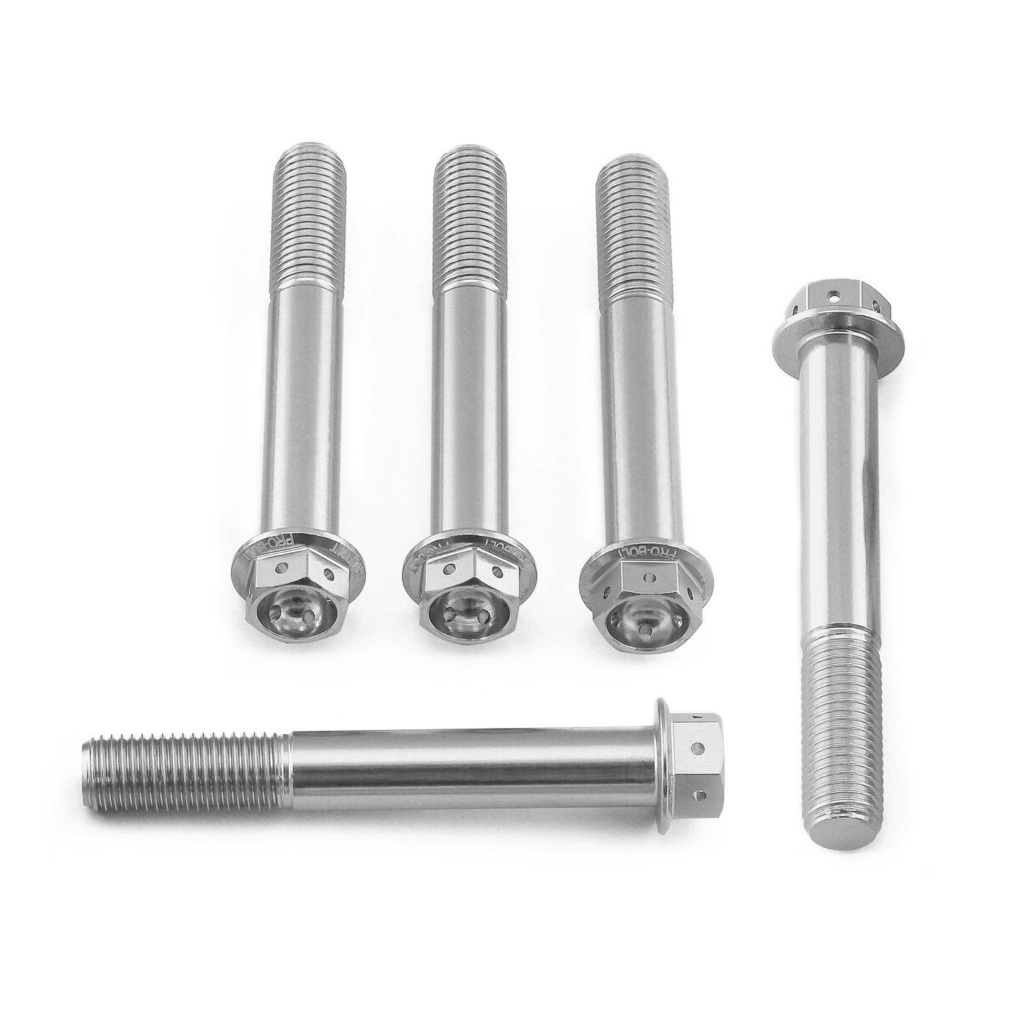 Pro-Bolt �v���{���g �A���~�j�E�� �t�����W�w�b�N�X�w�b�h�{���g M10x(1.25mm)x70mm ���[�X�X�y�b�N �G�b�`���O 5����p�b�N (HX ���̑��i�{���g�j