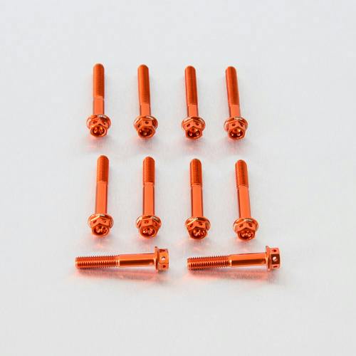 Pro-Bolt �v���{���g �A���~�j�E�� �t�����W�w�b�N�X�w�b�h�{���g M5x(0.80mm)x30mm ���[�X�X�y�b�N �G�b�`���O 10����p�b�N (HX ���̑��i�{���g�j