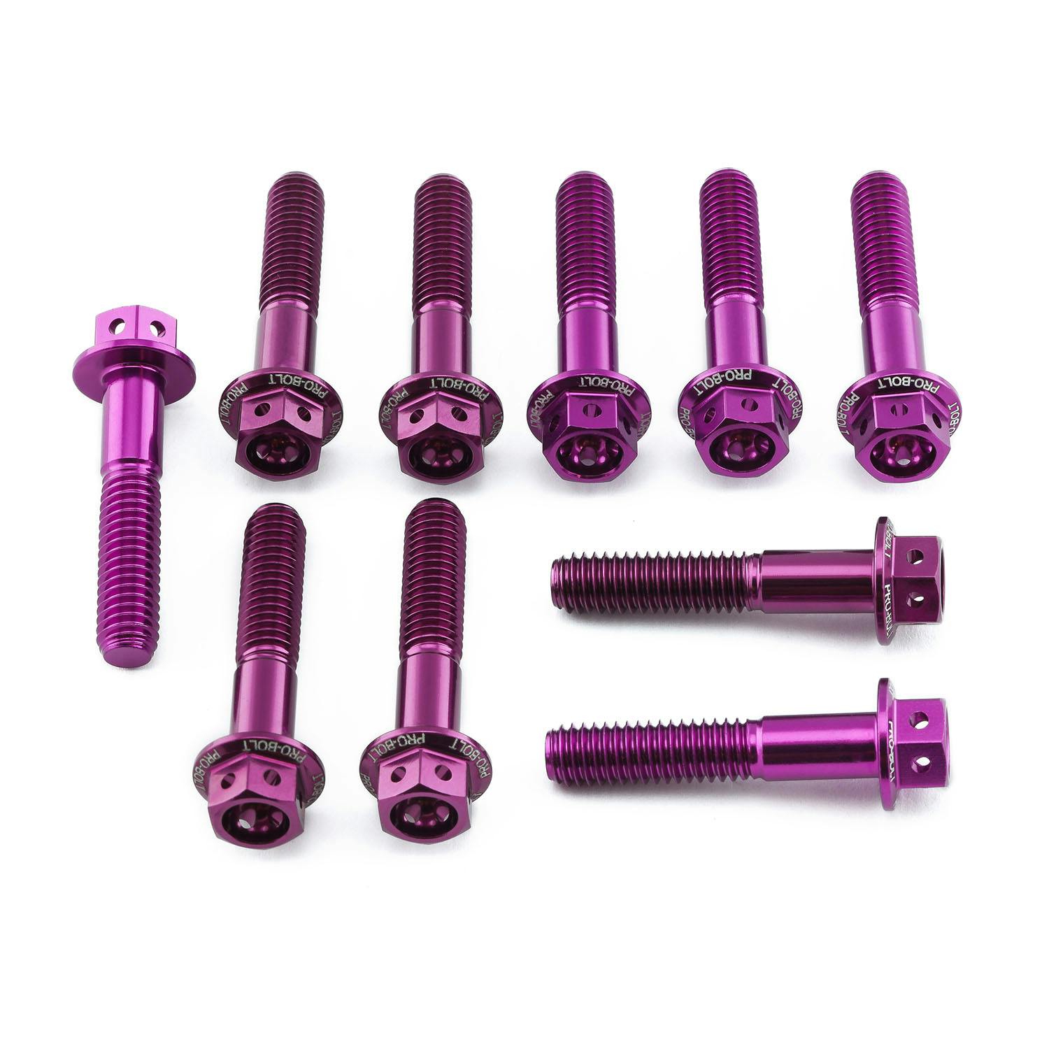 Pro-Bolt v{g A~jE tWwbNXwbh{g M6x(1.00mm)x30mm [XXybN Gb`O 10pbN (HX ̑i{gj