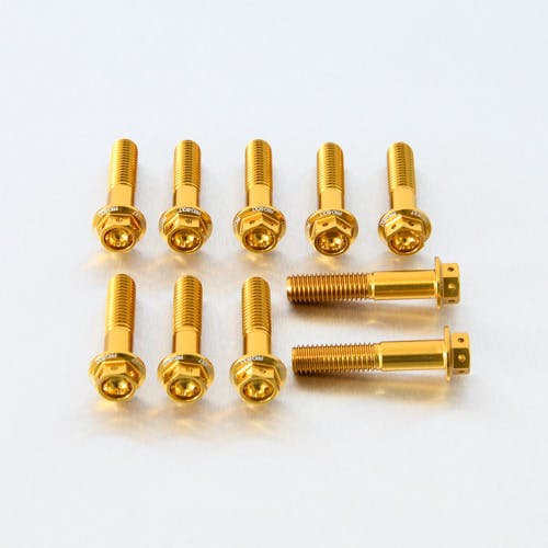 Pro-Bolt v{g A~jE tWwbNXwbh{g M8x(1.25mm)x40mm [XXybN Gb`O 10pbN (HX ̑i{gj