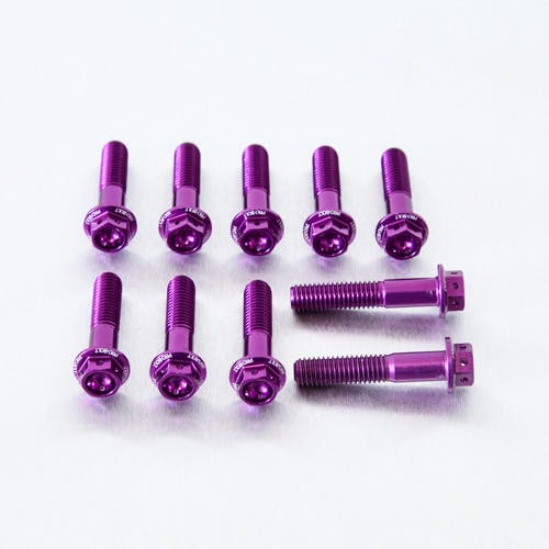 Pro-Bolt プロボルト アルミニウム フランジヘックスヘッドボルト M8x(1.25mm)x40mm レーススペック エッチング 10個入りパック (HX840R-10E) HX840R-10PE (CDC)【ネット注文限定・別送品】