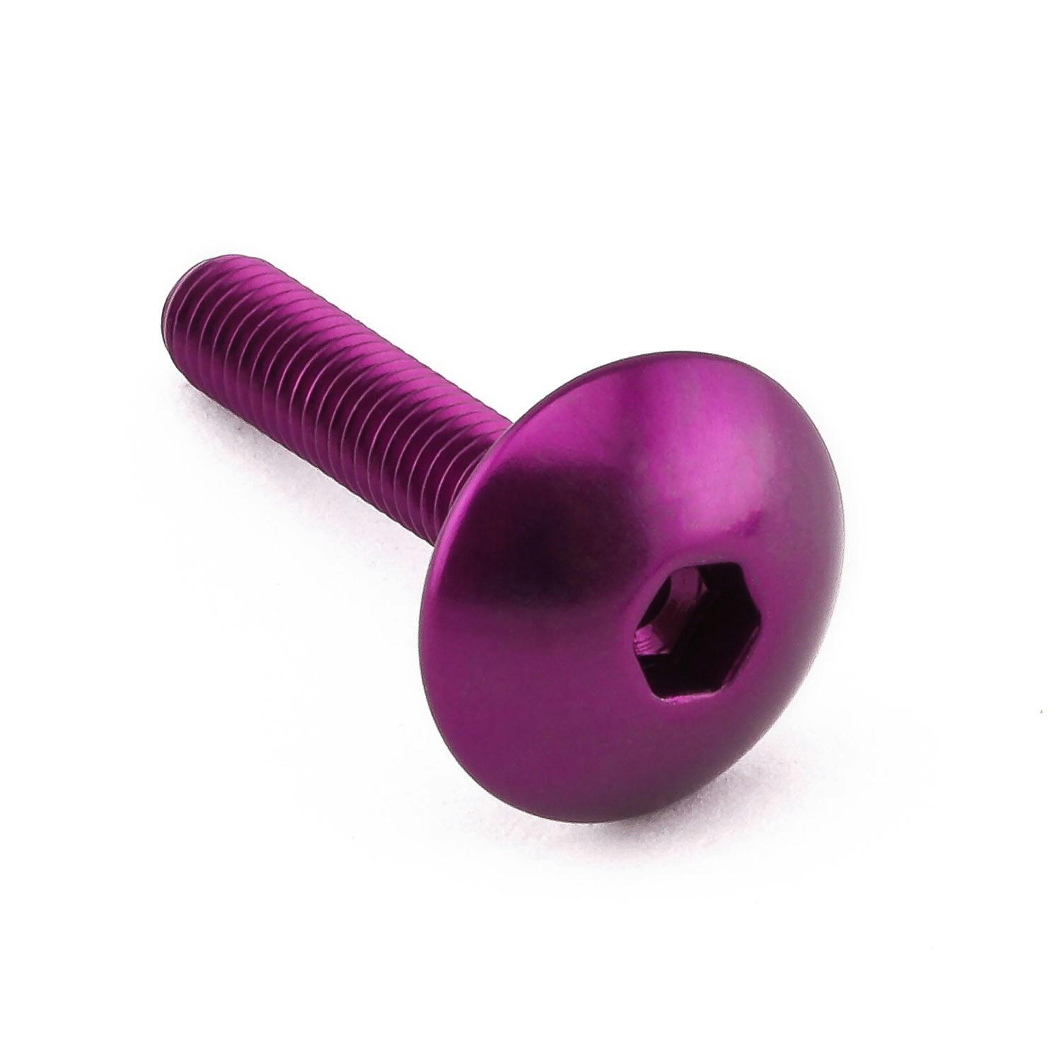 Pro-Bolt �v���{���g Aluminium Dome Head Bolt M5x(0.80mm)x25mm (16mm O/D) LFB525XLP (C ���̑��i�{���g�j