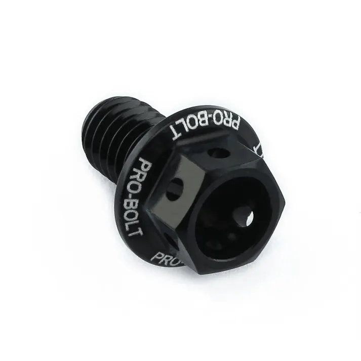Pro-Bolt プロボルト アルミニウム フランジヘックスヘッドボルト M6x(1.00mm)x10mm レーススペック エッチング (LHX610RE) LHX610RBKE (CDC)【ネット注文限定・別送品】