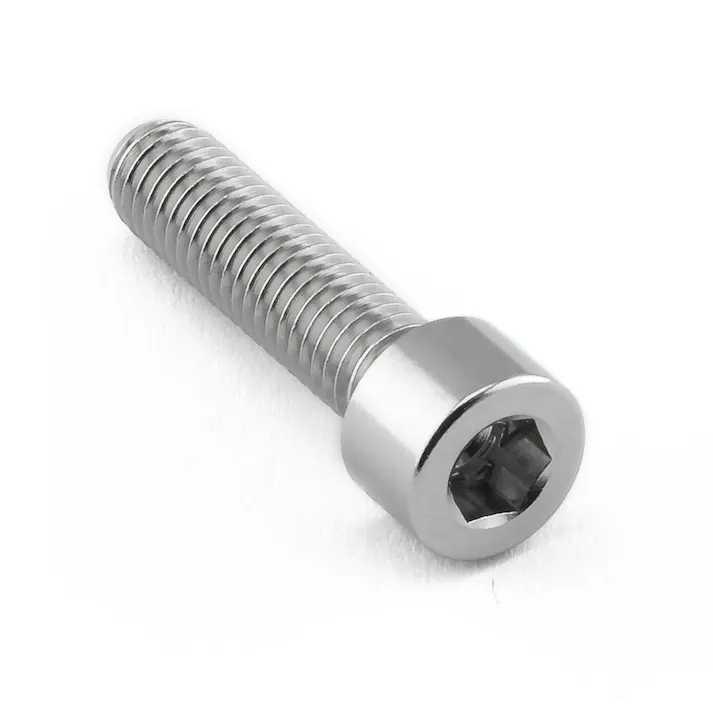 Pro-Bolt プロボルト Stainless Steel Parallel Head Socket Cap Bolt M5x(0.80mm)x20mm LSSPB520 (CDC)【ネット注文限定・別送品】