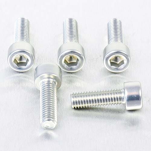 Pro-Bolt v{g A~jE \PbgLbv{g M5x(0.80mm)x16mm 5pbN (PB516-5) PB516-5S (C ̑i{gj