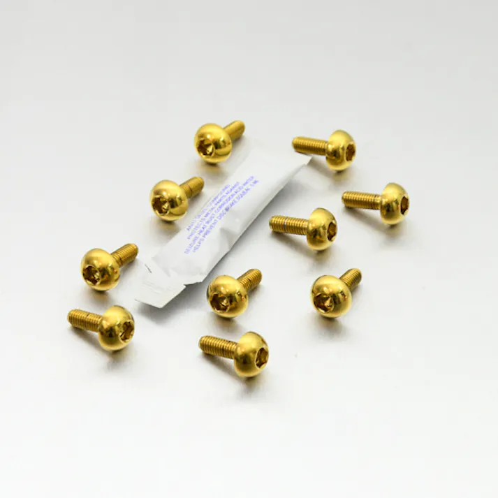 Pro-Bolt プロボルト Stainless Steel Disc Bolt Honda Front Pack x10 (SS10DISCHONFR) SS10DISCHONFRG (CDC)【別送品】