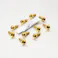 Pro-Bolt プロボルト Stainless Steel Disc Bolt Yamaha R1/R6 Pack x10 (SS10DISCR1R6) SS10DISCR1R6G (CDC)【別送品】