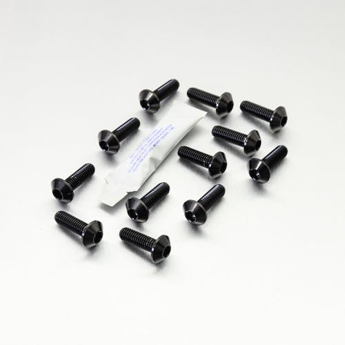 Pro-Bolt プロボルト Stainless Steel Disc Bolt Yamaha Pack x12 (SS12DISCYAM) SS12DISCY ステン（ボルト）