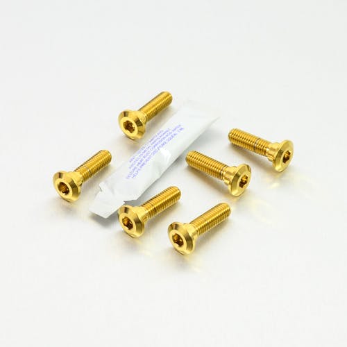 Pro-Bolt プロボルト Stainless Steel Disc Bolt Kawasaki